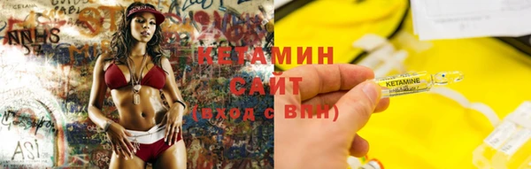 apvp Алзамай