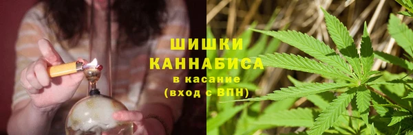apvp Алзамай