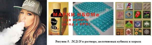 apvp Алзамай