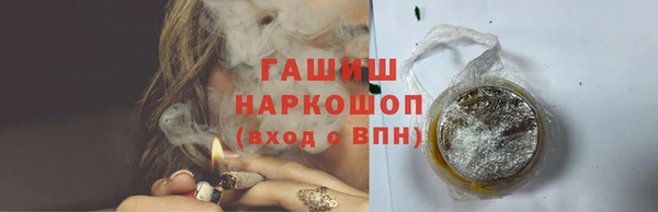 apvp Алзамай