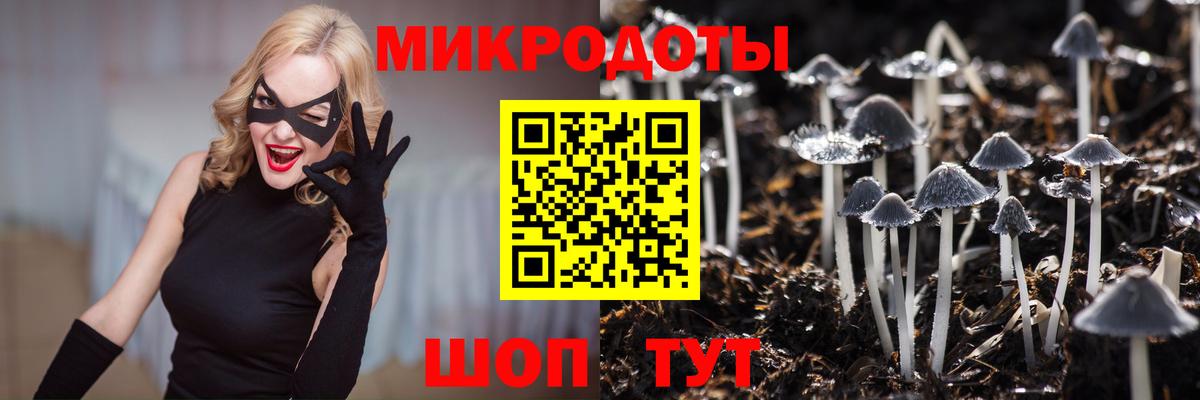Галлюциногенные грибы Cubensis  Псилоцибиновые грибы GOLDEN TEACHER  Рубцовск  Вход с VPN 